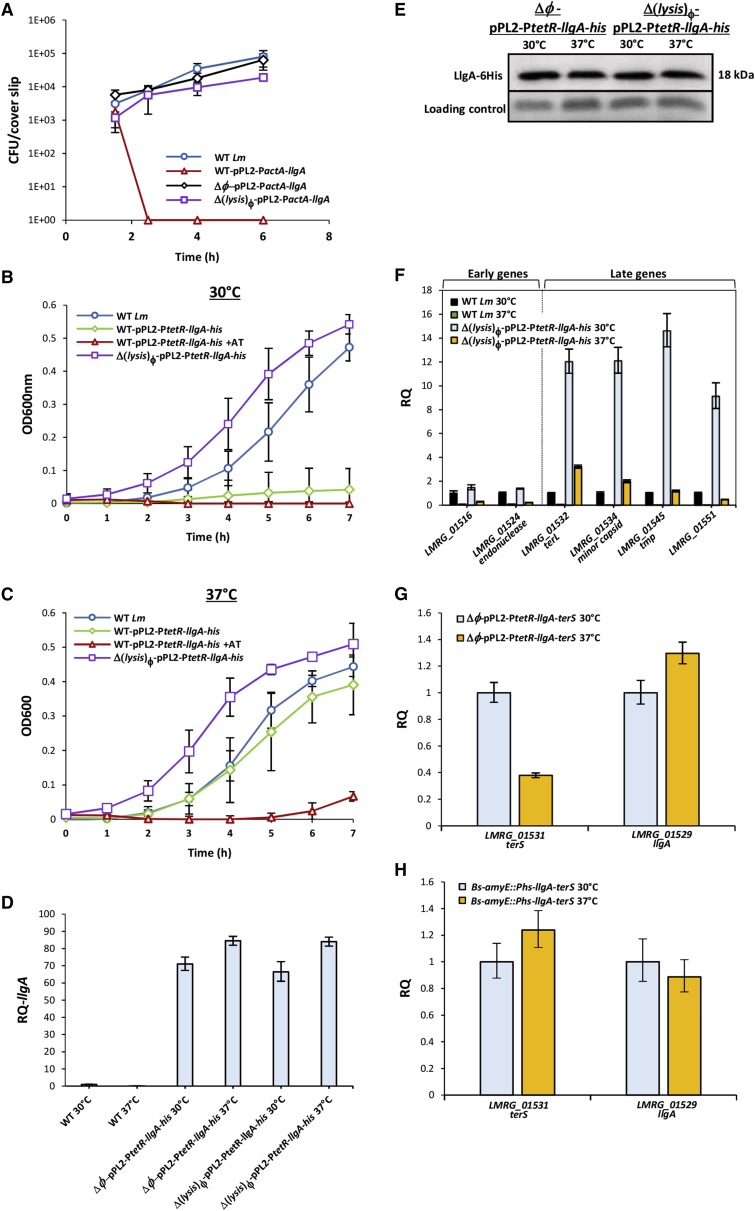 Figure 6