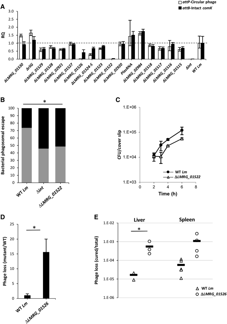 Figure 4