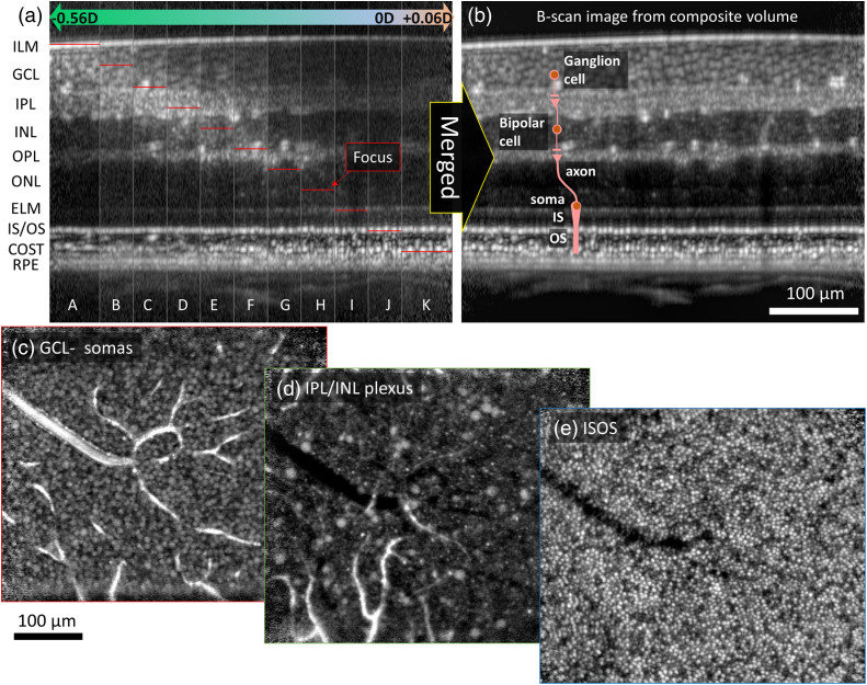 Fig. 11