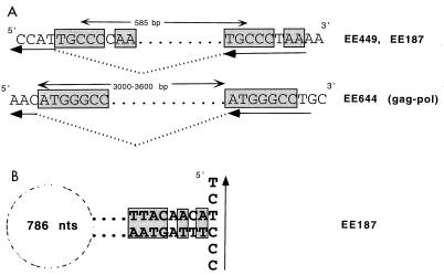 FIG. 5