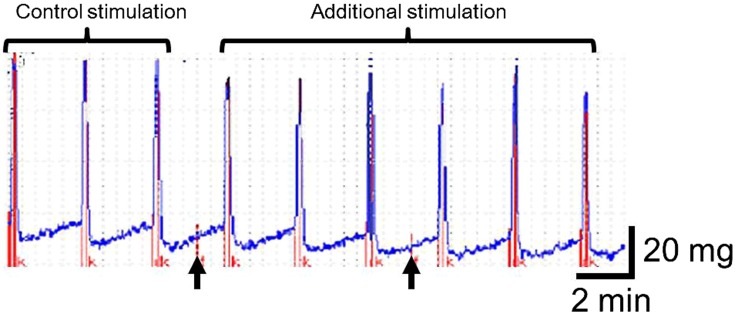 Fig. 1.