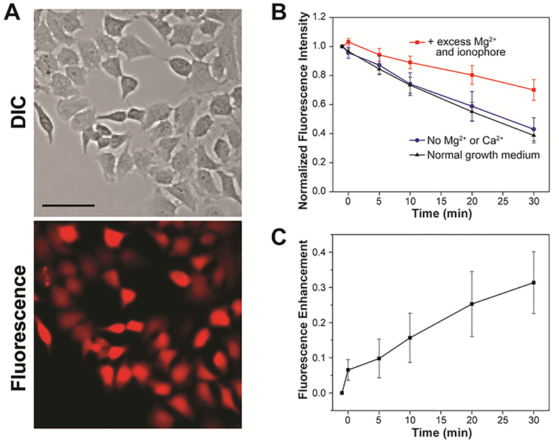 Figure 4.