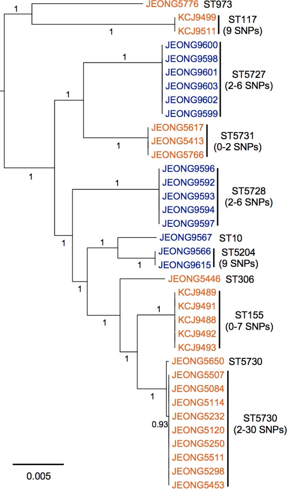 FIG 2