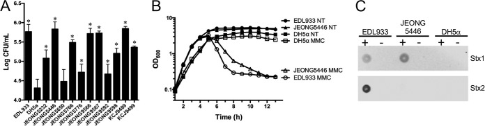 FIG 6