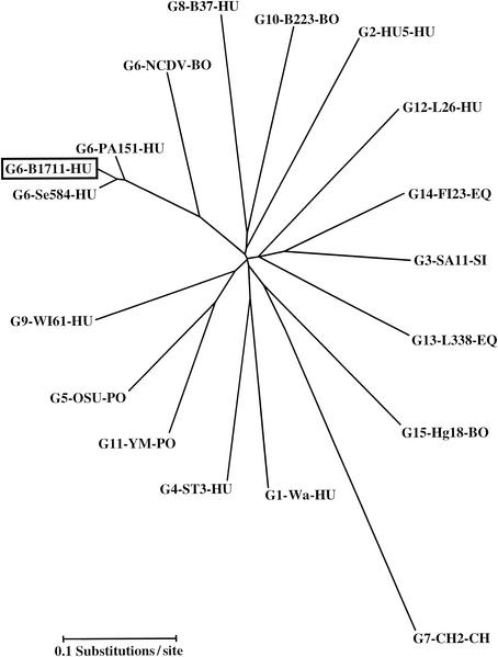 FIG. 1.