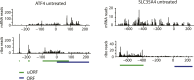 Figure 1—figure supplement 1.