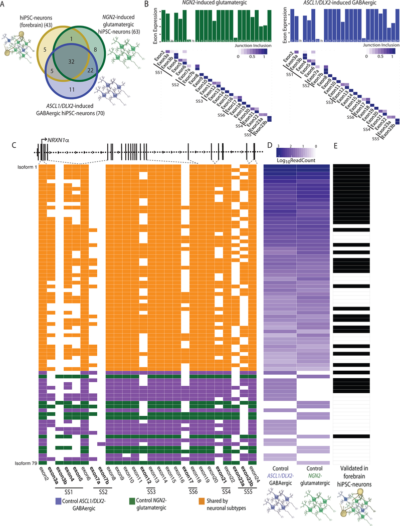 Figure 3 |