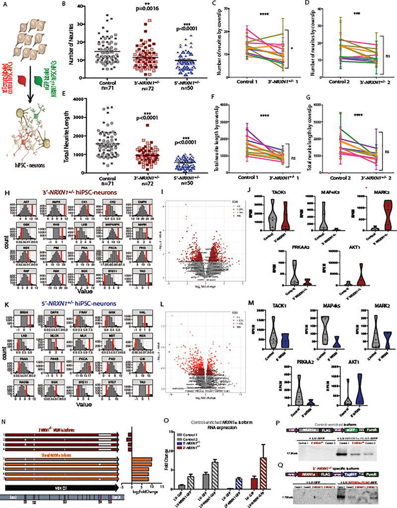 Extended Data Fig. 8