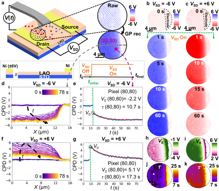 High Speed Mapping Of Surface Charge Dynamics Using Sparse Scanning Kelvin Probe Force