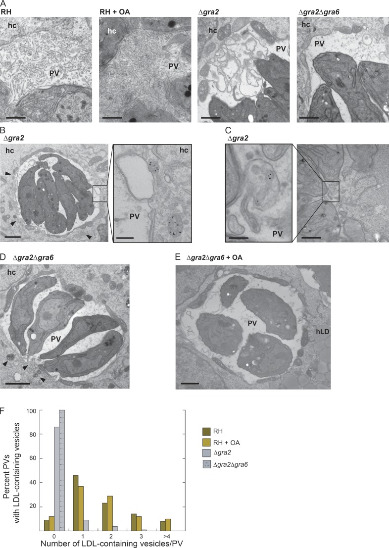 Figure 6.