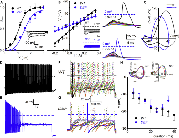 Figure 4