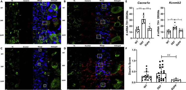 Figure 3