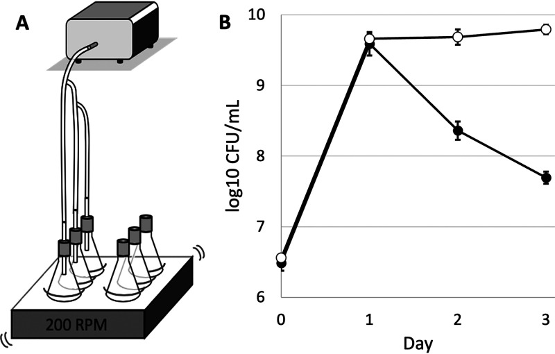 FIG 5