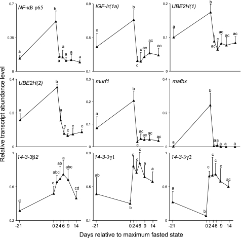 Fig. 7.