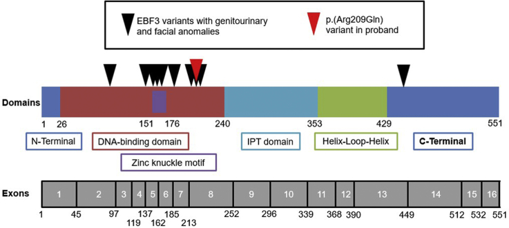 Figure 2