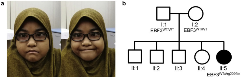 Figure 1