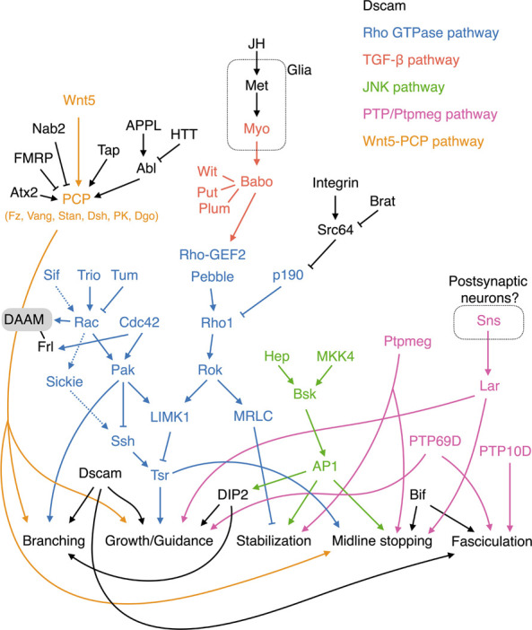 FIGURE 3