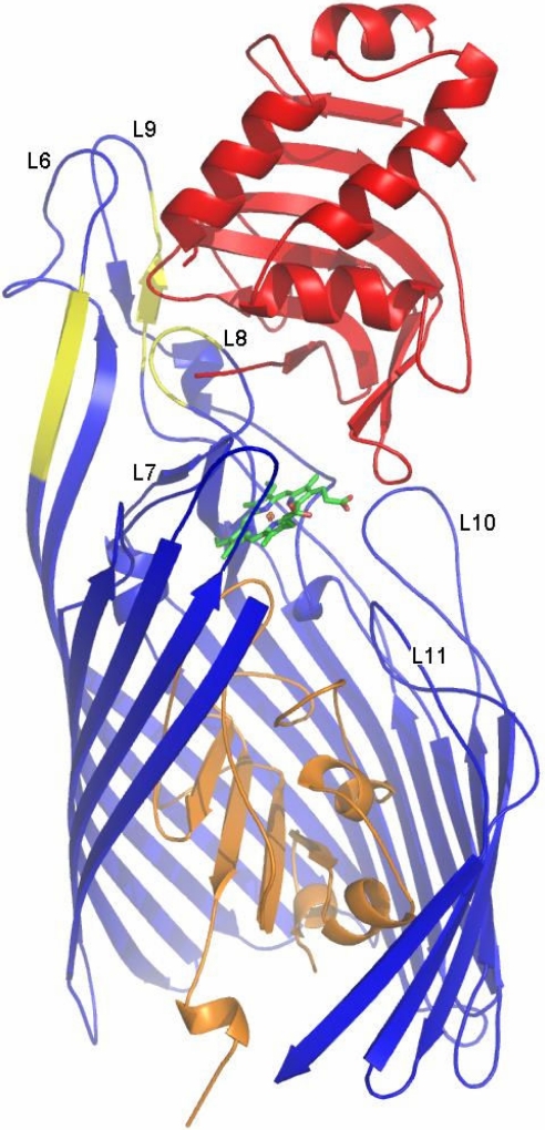 Fig. 1.