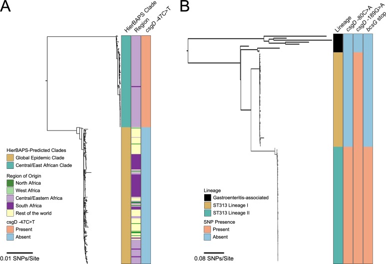 Fig 6