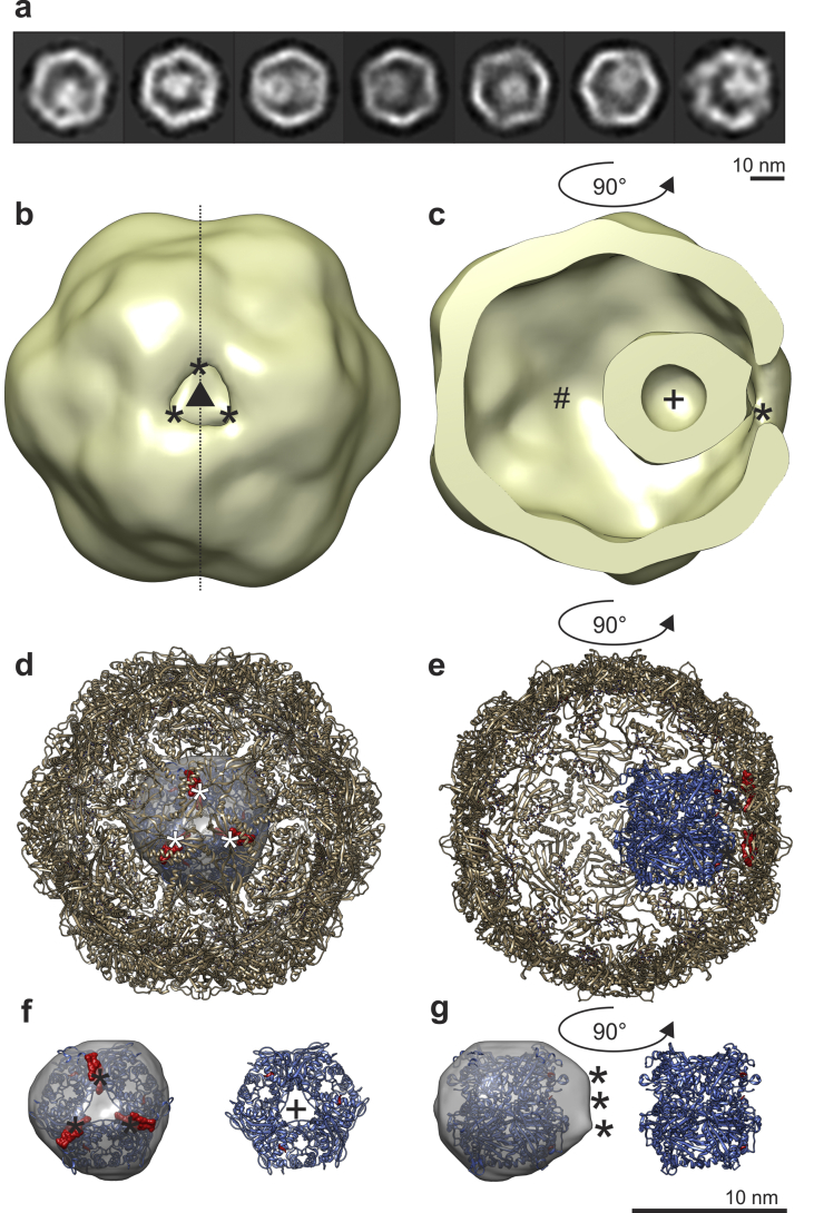 Fig. 4