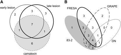 Figure 2.—