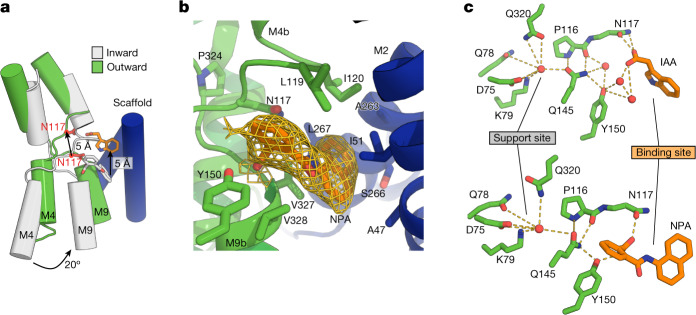 Fig. 3