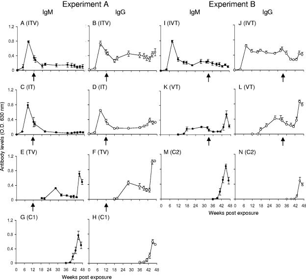 FIG. 4.