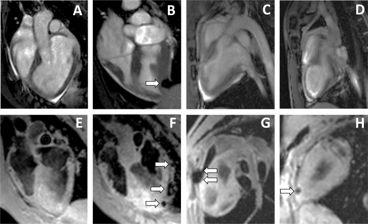 Fig 5