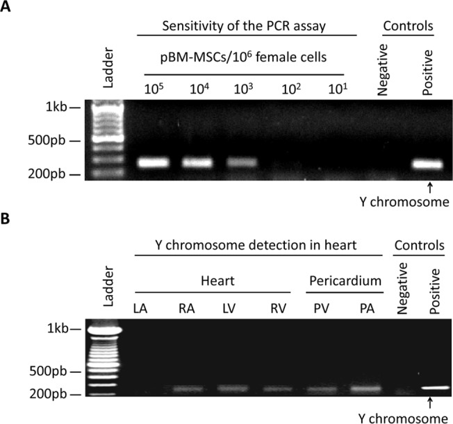 Fig 8