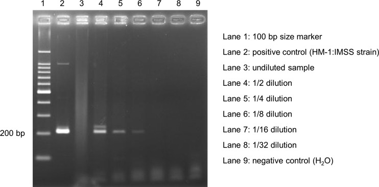 FIG 2