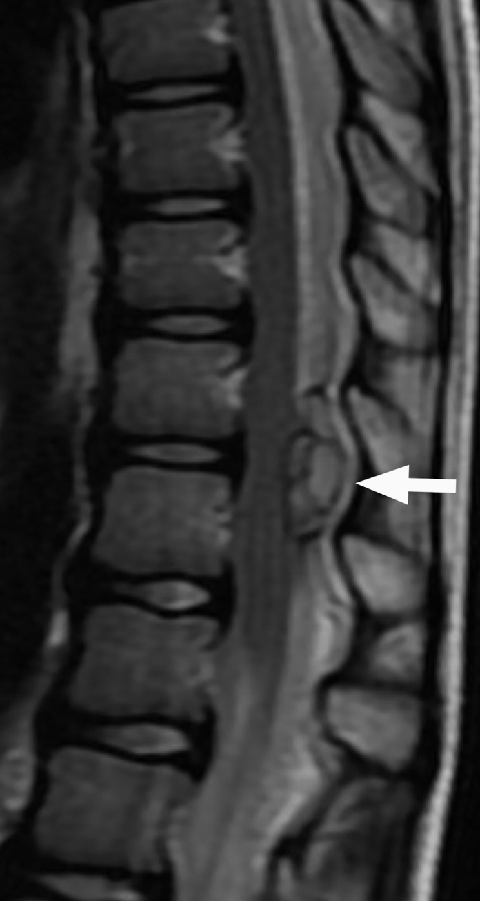 Figure 5c.