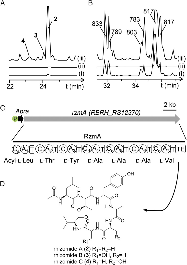 Fig. 6.