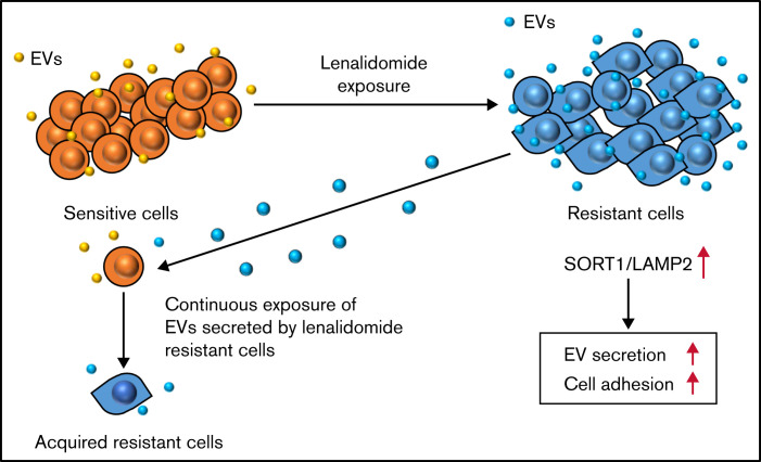 Figure 7.