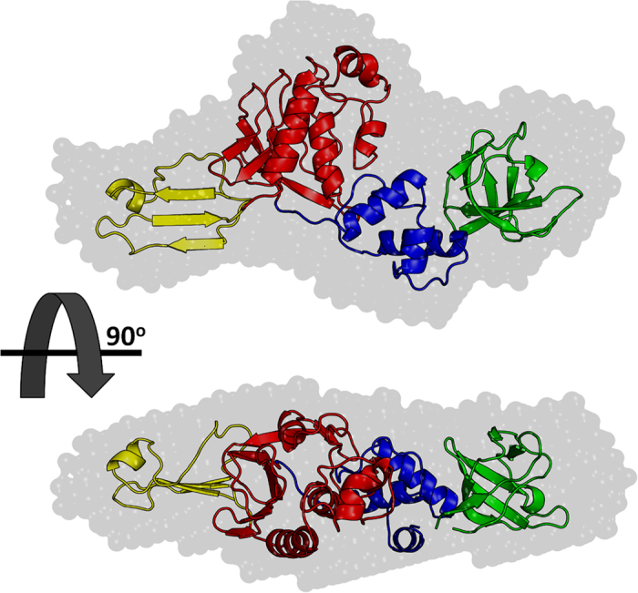 Figure 4