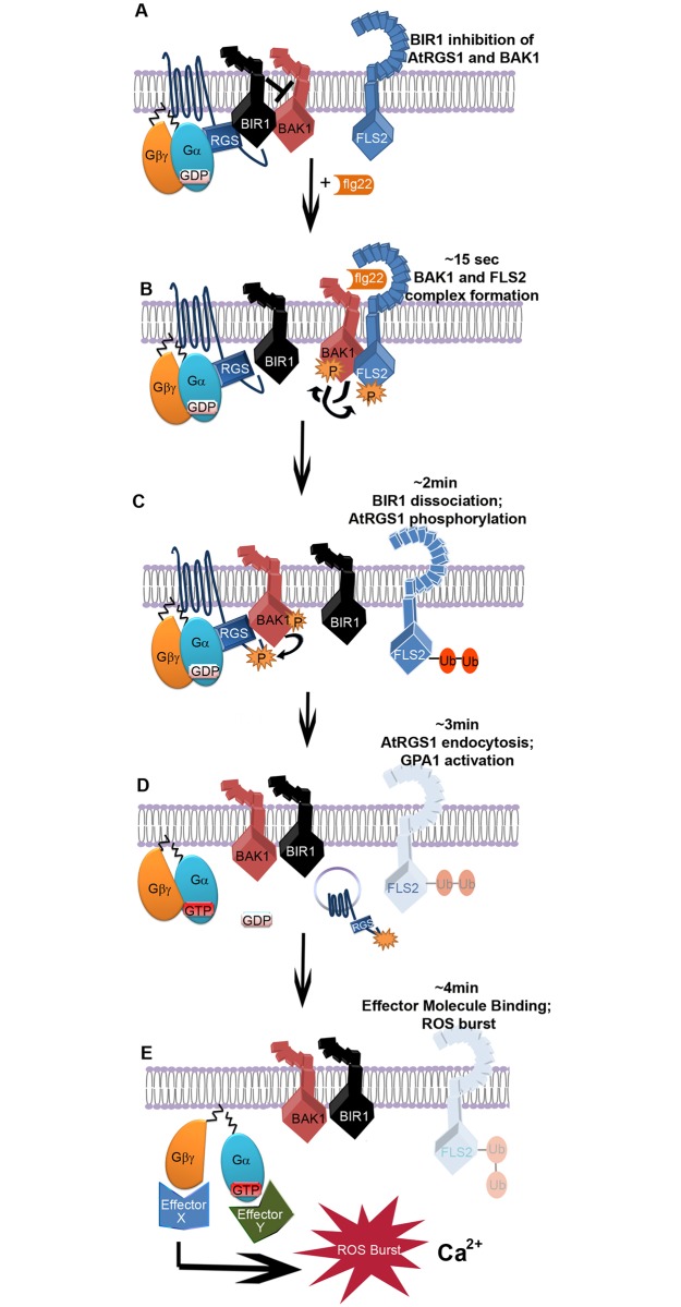 Fig 4