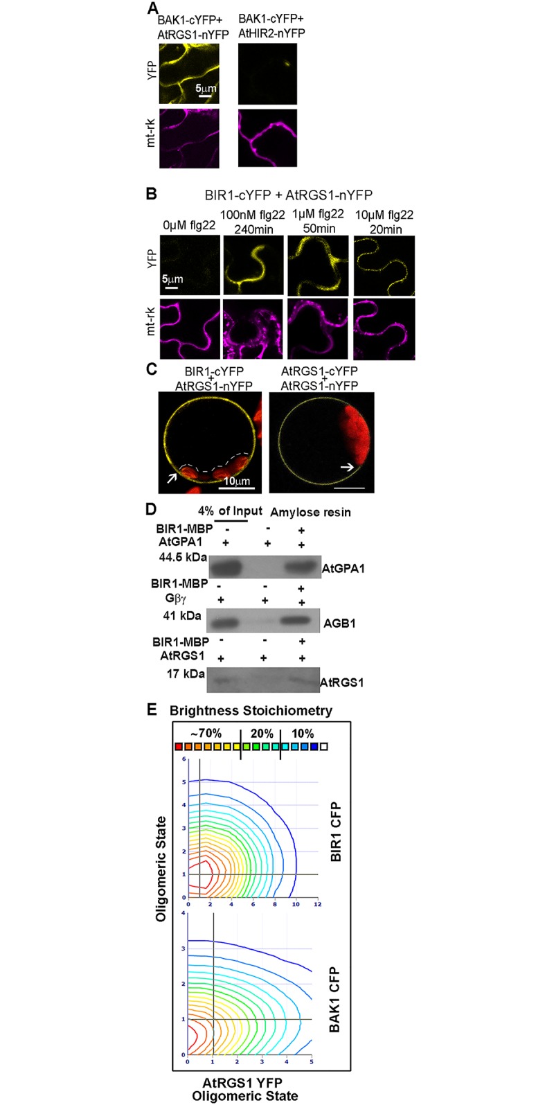 Fig 2