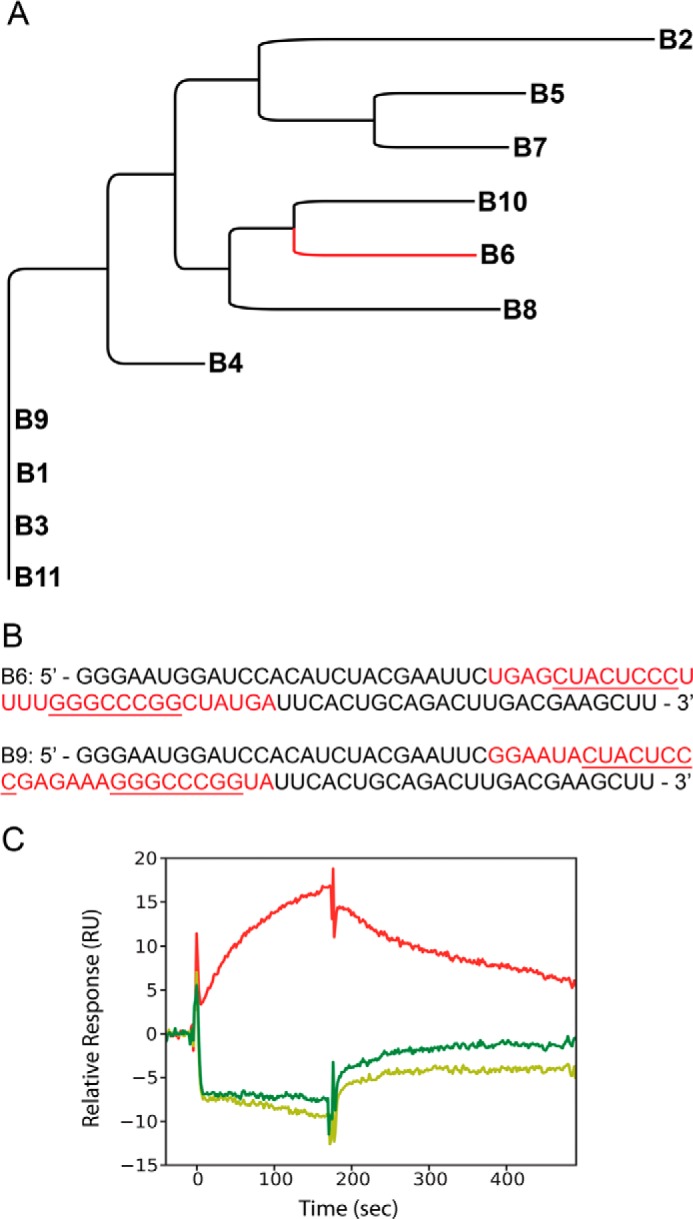 FIGURE 2.