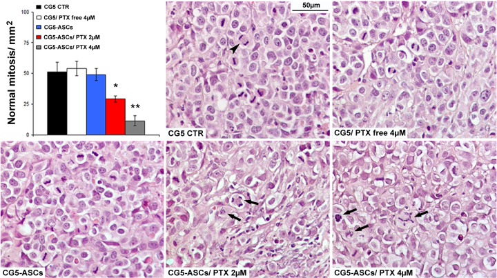 Fig 5