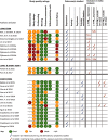 Figure 2 is a tabular representation with authors and years listed in the first column. The ratings, namely, good, fair, weak, and not applicable, are marked in the column study quality ratings; whether outcomes are studied and whether included in meta-analysis are marked in the other columns.