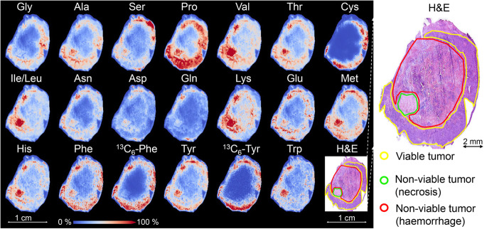 Fig. 2