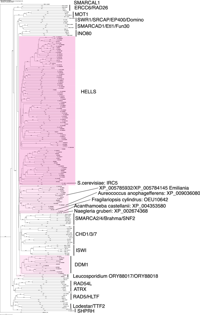 Figure 5—figure supplement 2.