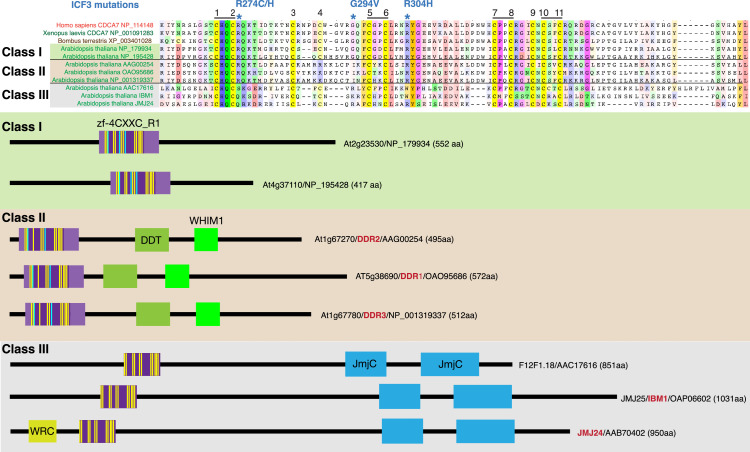 Figure 3.