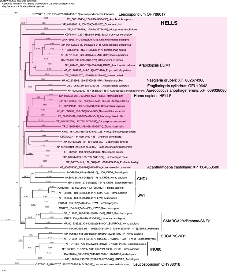 Figure 5—figure supplement 3.