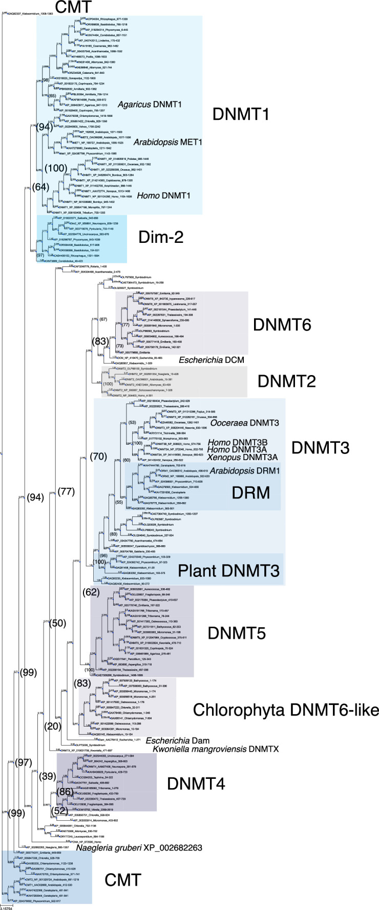 Figure 5—figure supplement 4.