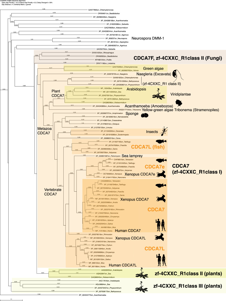 Figure 2—figure supplement 1.