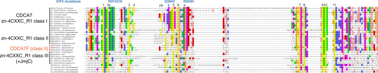 Figure 3—figure supplement 1.