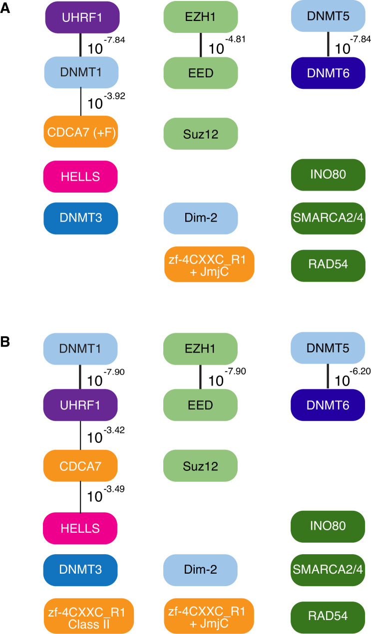 Figure 6—figure supplement 1.