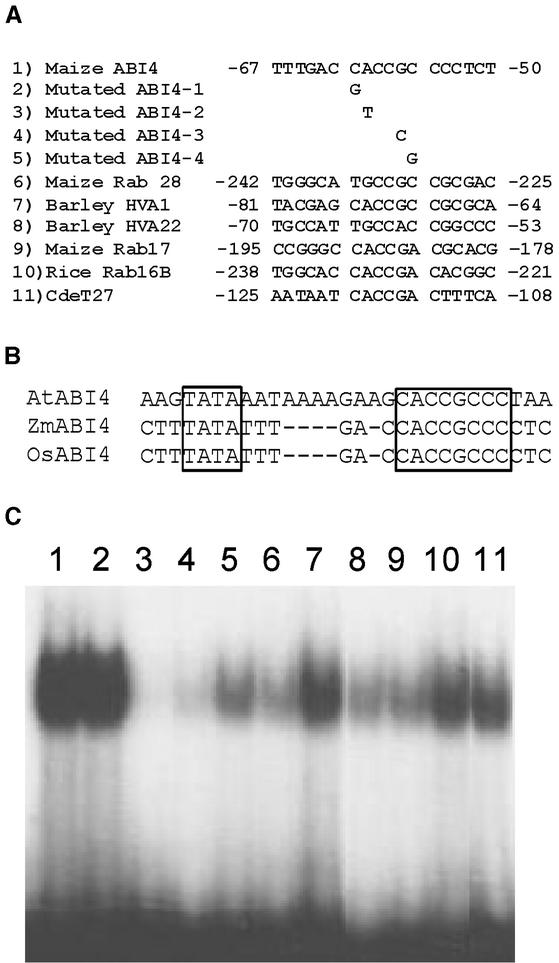 Figure 5.