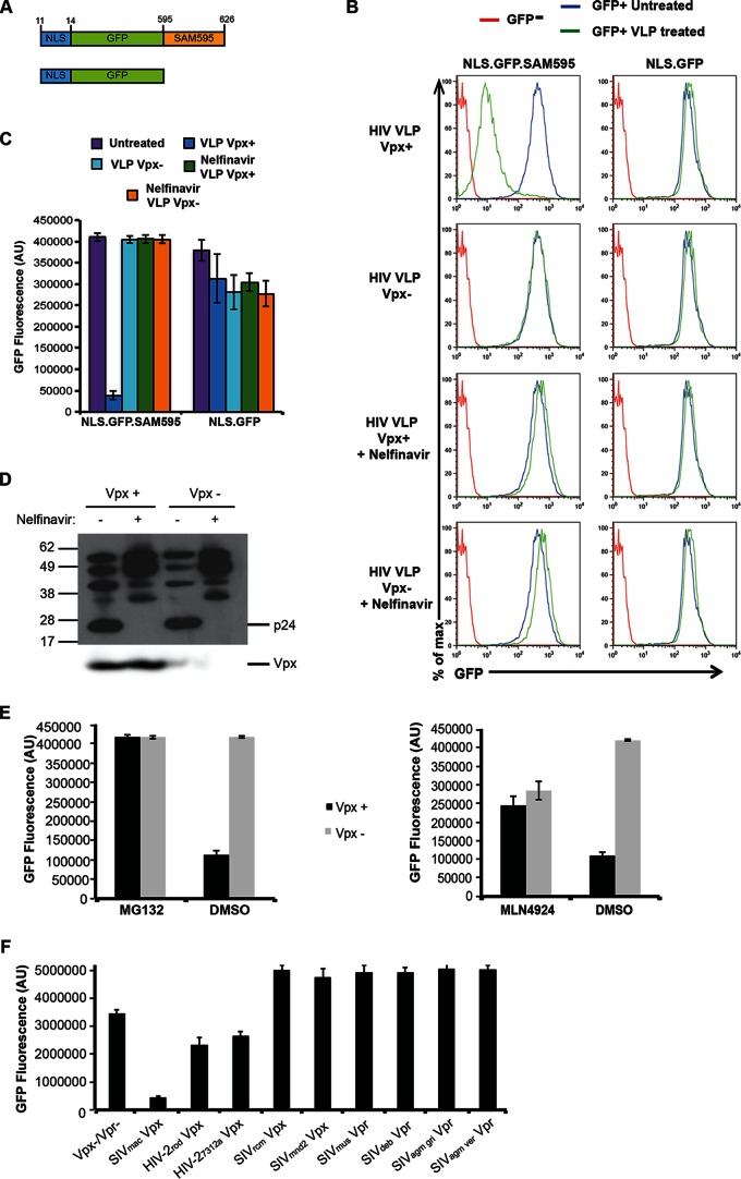 FIG 1