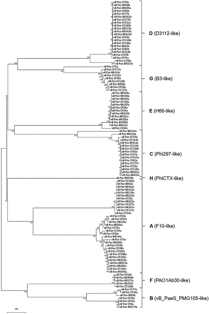 FIG 2